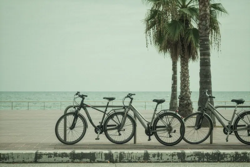 A bike rental stand on a seafront promenade with plain city bikes locked in a steel rack and palm trees behind.
